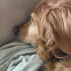 Meet your Posher, Pam